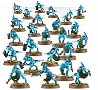 Skinks