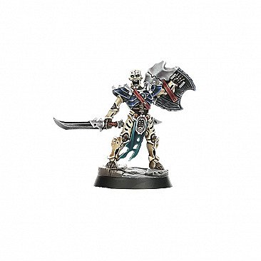 Image of the Model Senha  