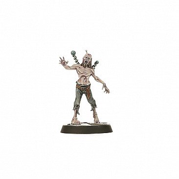 Image of the Model Bault  