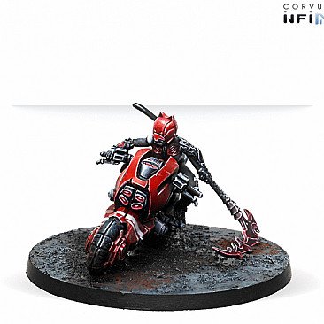 Image of the Model Infinity Kuroshi Rider  