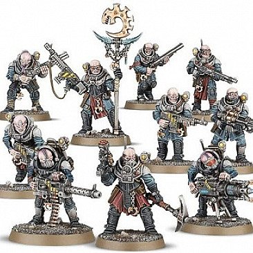 Image of the Model Neophyte Hybrid  