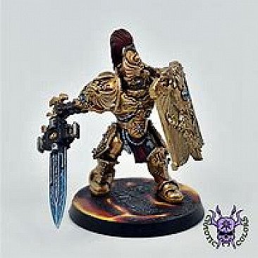 Image of the Model Custodian Guard  