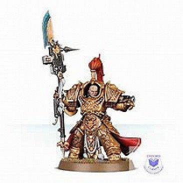 Image of the Model Custodian Allarus Terminator  