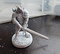 Dragonborn Fighter