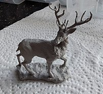Stag