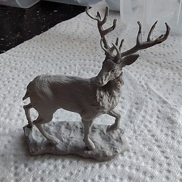 Stag