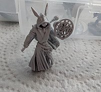 Harengon Wizard