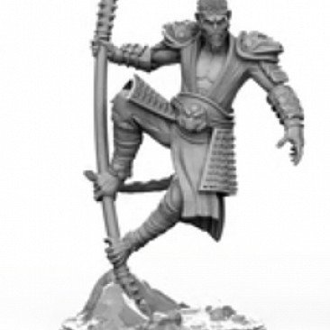 Image of the Model Sun Wukong  