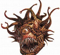 Beholder