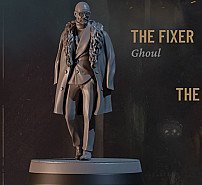 The Fixer