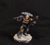 Primaris Intercessors