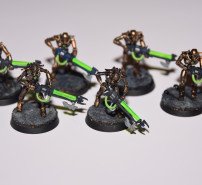Necron Warrior