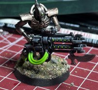 Necron Immortal