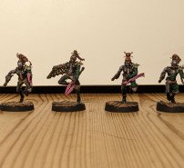 Drukhari Wyches