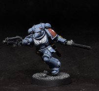 Primaris Assault Intercessor (ETB 7c)