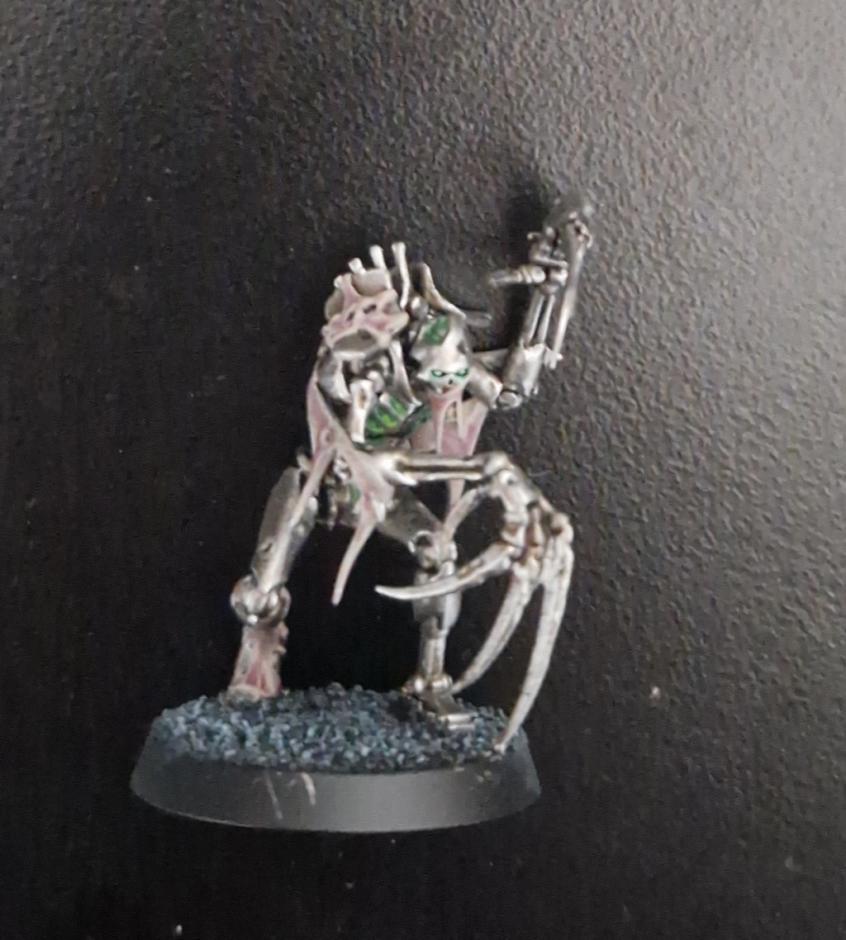 Necron Flayed Ones