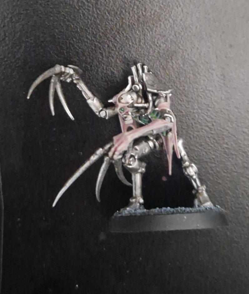 Necron Flayed Ones