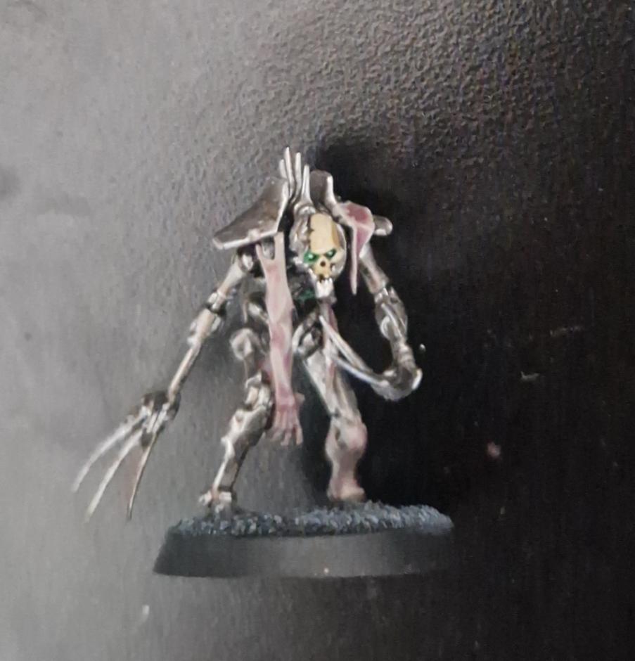 Necron Flayed Ones